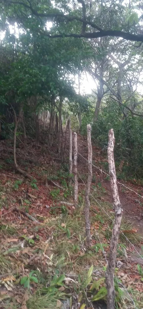 Terreno, 7000 m² - Foto 13