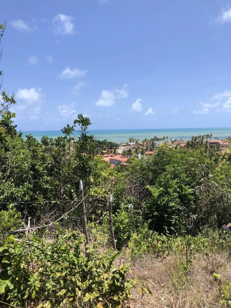 Terreno, 7000 m² - Foto 11