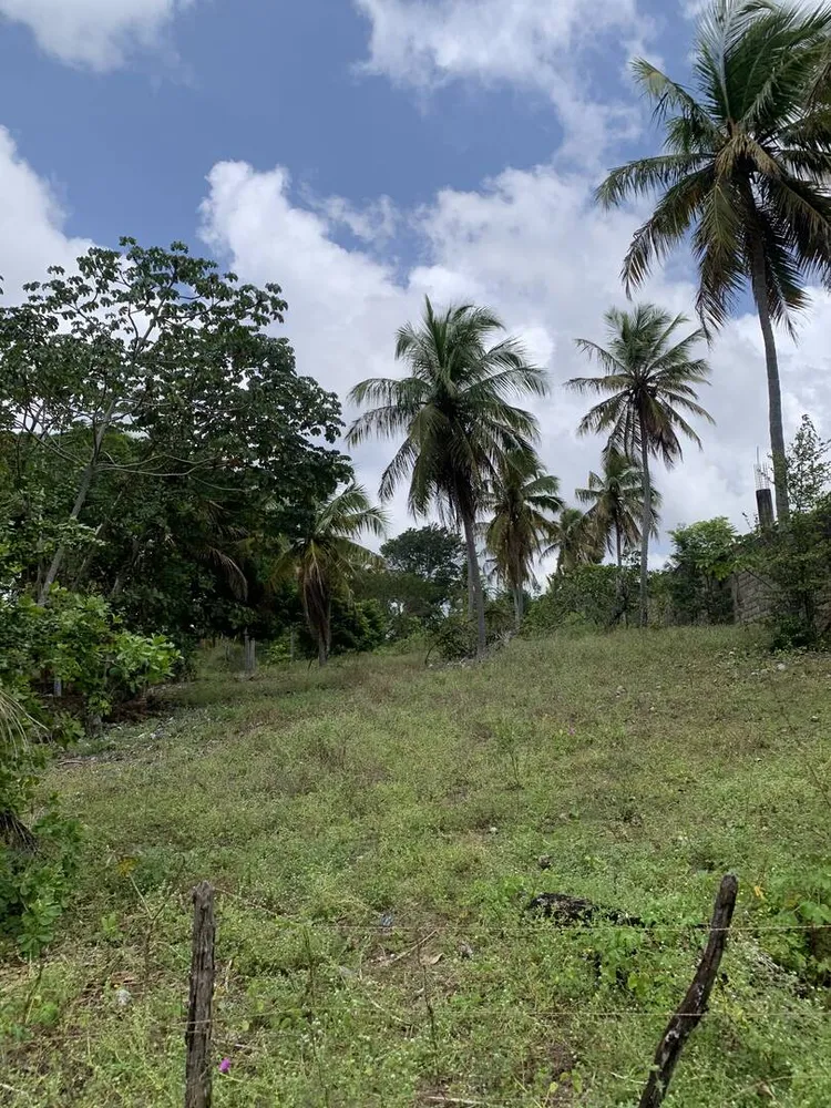 Terreno, 7 hectares - Foto 4