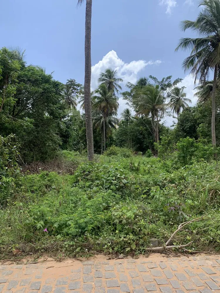 Terreno, 600 m² - Foto 14