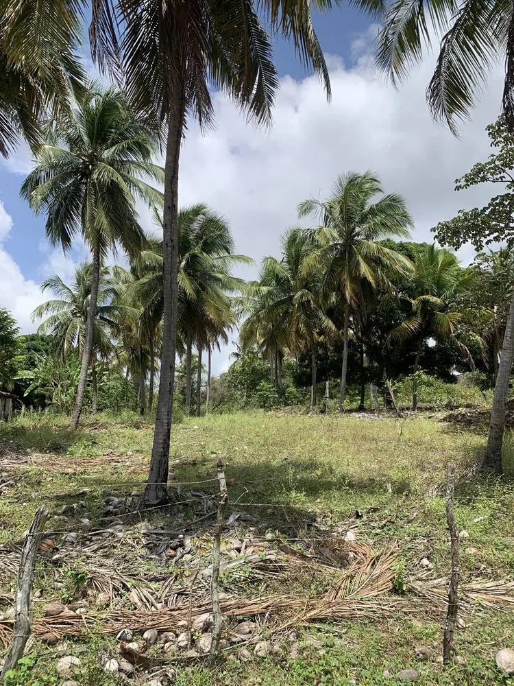 Terreno, 600 m² - Foto 4