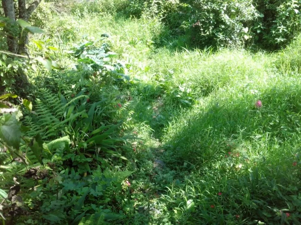 Terreno, 372 m² - Foto 6
