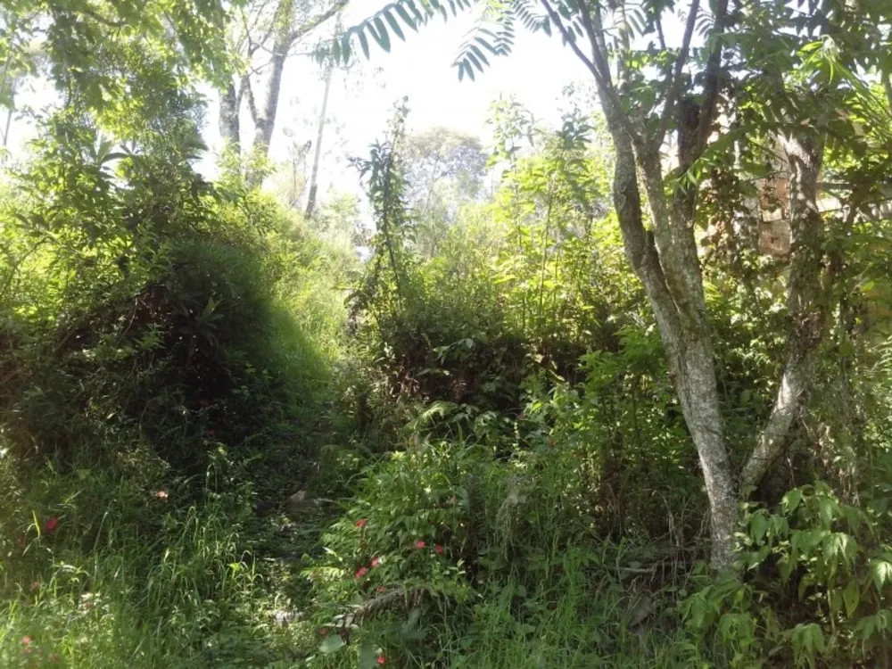 Terreno, 372 m² - Foto 7