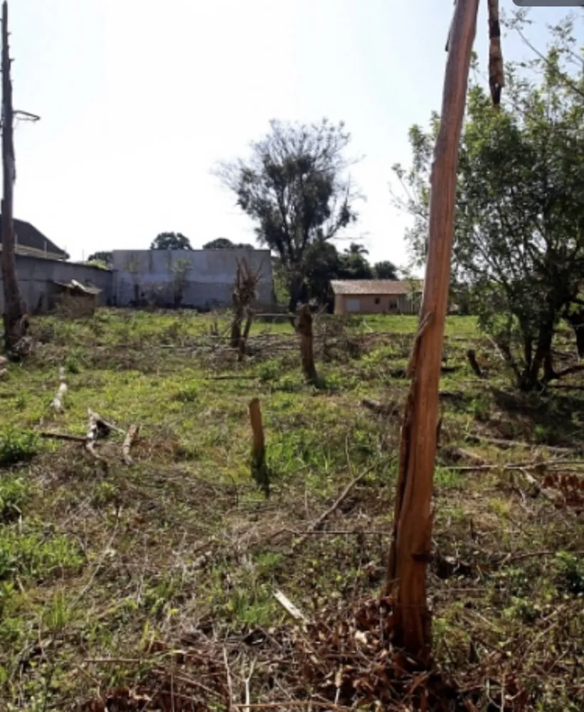 Terreno, 2930 m² - Foto 4