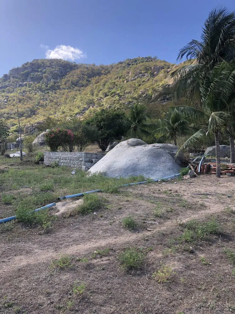 Terreno, 5 hectares - Foto 4