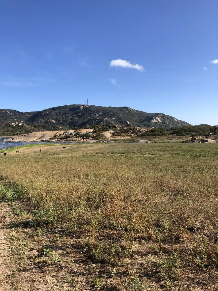 Terreno, 5 hectares - Foto 6