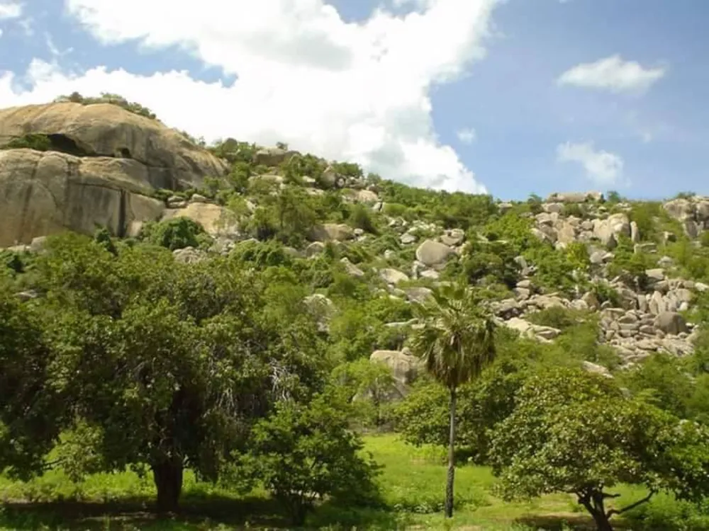 Terreno, 5 hectares - Foto 13