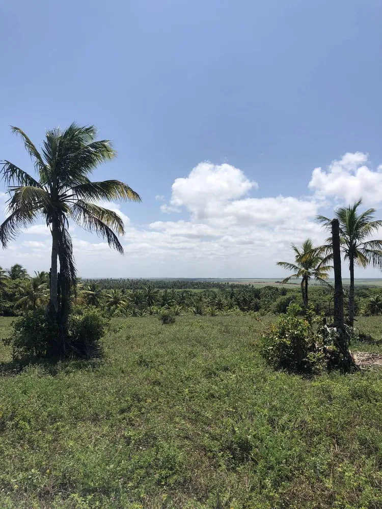 Terreno, 9 hectares - Foto 4