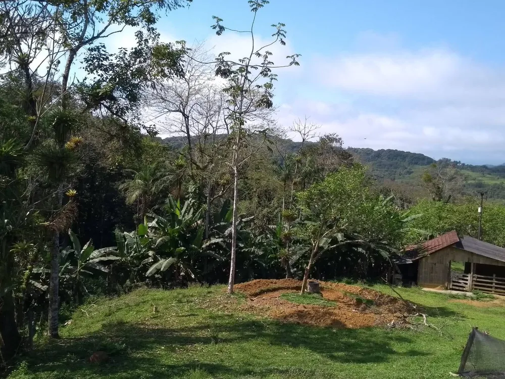 Sítio, 3 quartos, 10 hectares - Foto 8