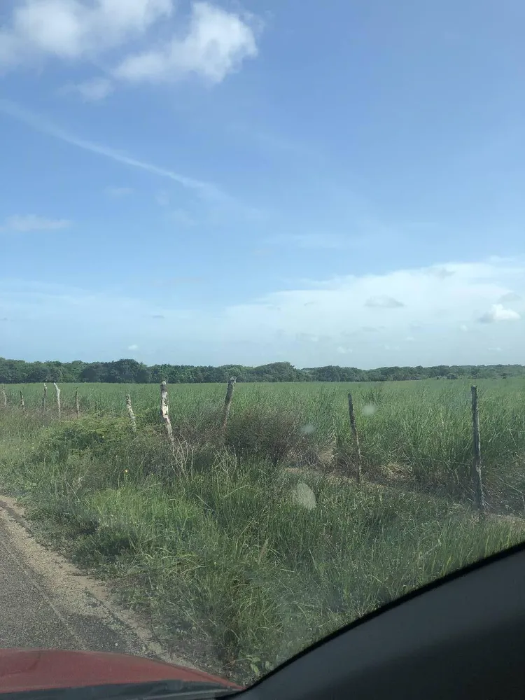 Terreno, 8 hectares - Foto 11