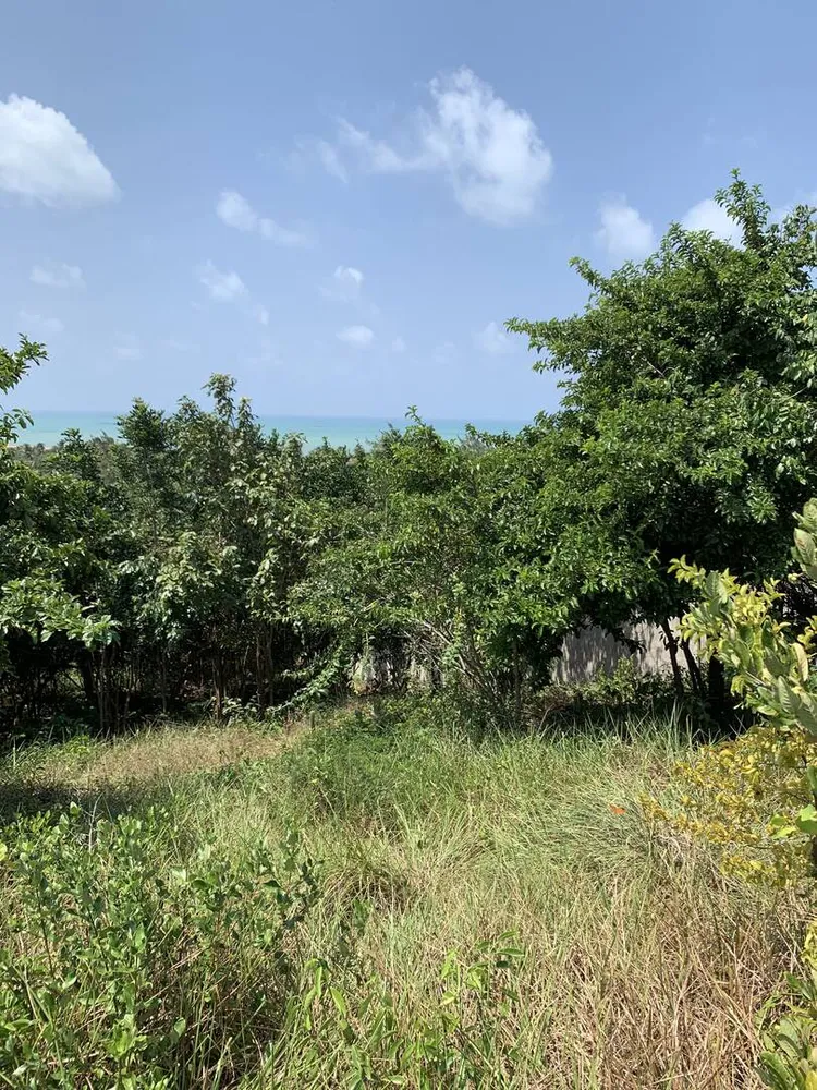 Terreno, 3354 m² - Foto 6