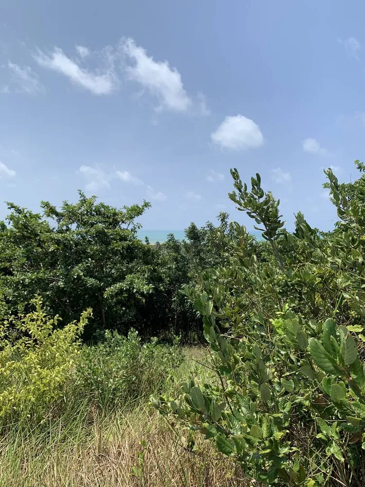 Terreno, 3354 m² - Foto 1