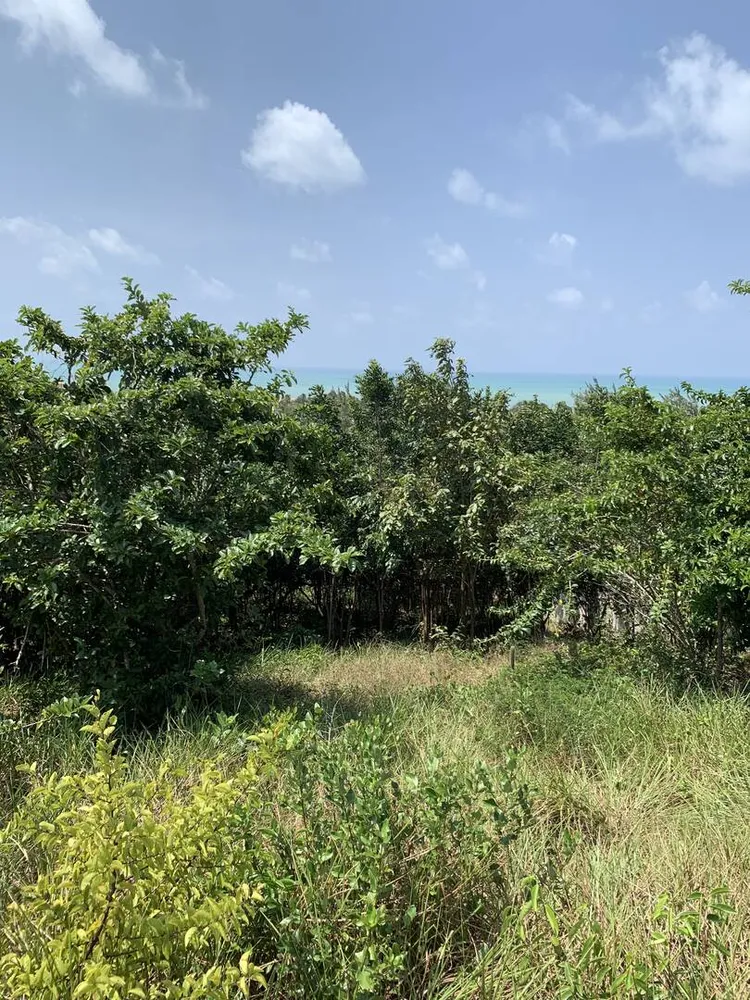 Terreno, 3354 m² - Foto 8