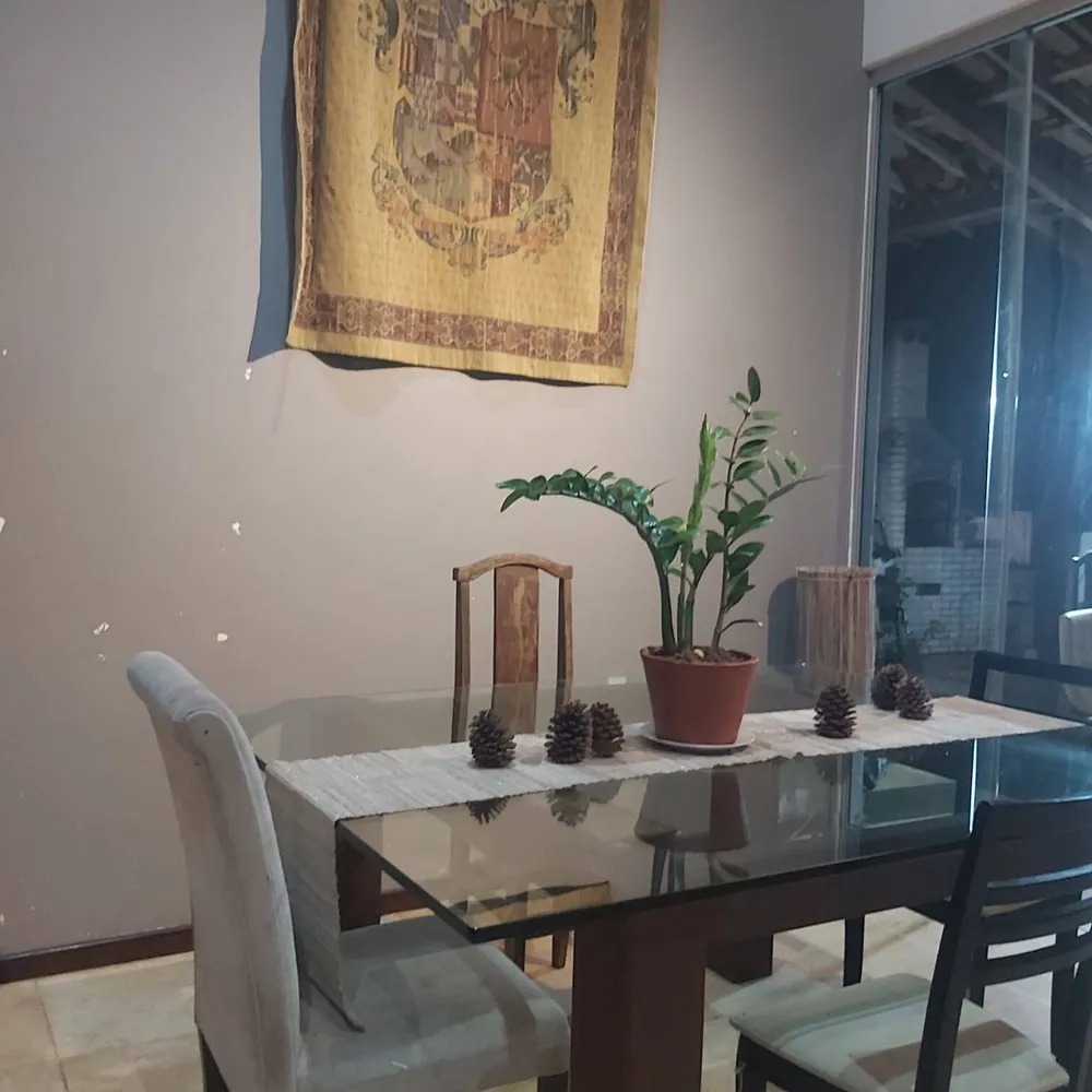 Casa, 5 quartos, 354 m² - Foto 8