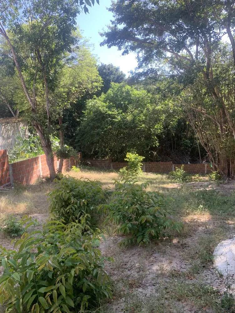 Terreno, 625 m² - Foto 11