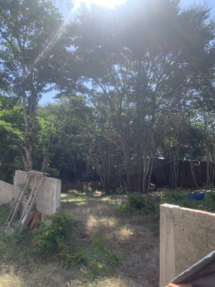 Terreno, 625 m² - Foto 6