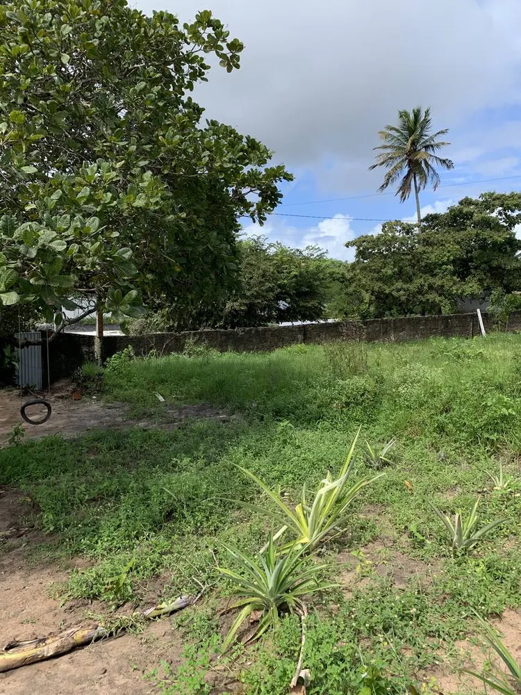 Casa, 2 quartos, 90 m² - Foto 11