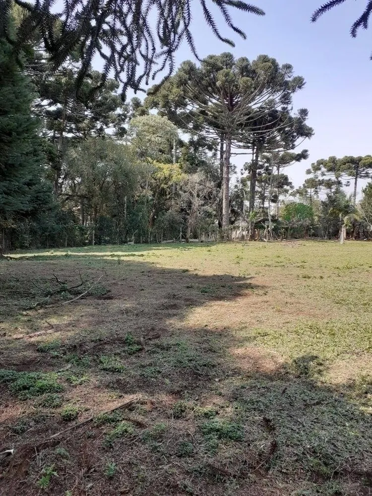 Terreno, 5417 m² - Foto 8