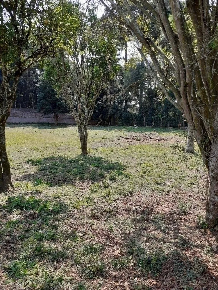 Terreno, 5417 m² - Foto 5
