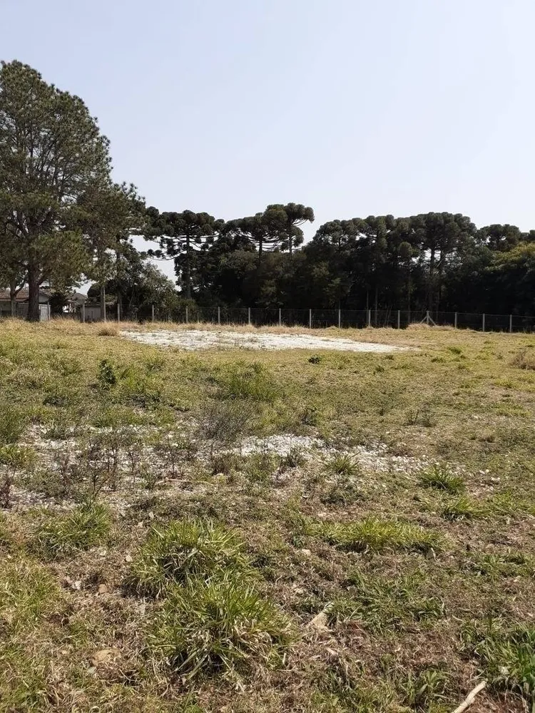 Terreno, 5417 m² - Foto 4