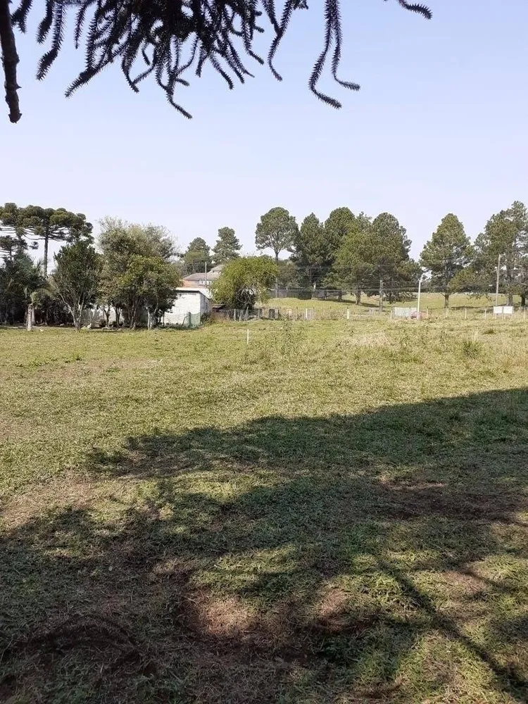 Terreno, 5417 m² - Foto 7