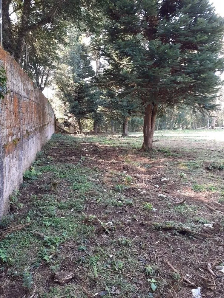 Terreno, 5417 m² - Foto 6