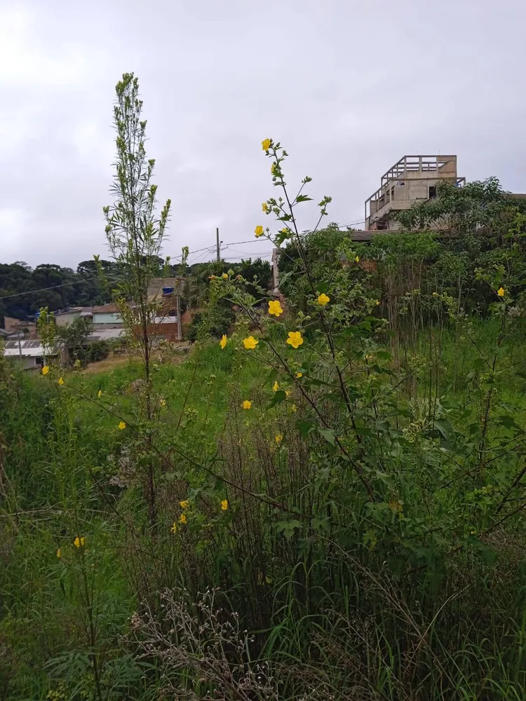 Terreno, 4379 m² - Foto 2