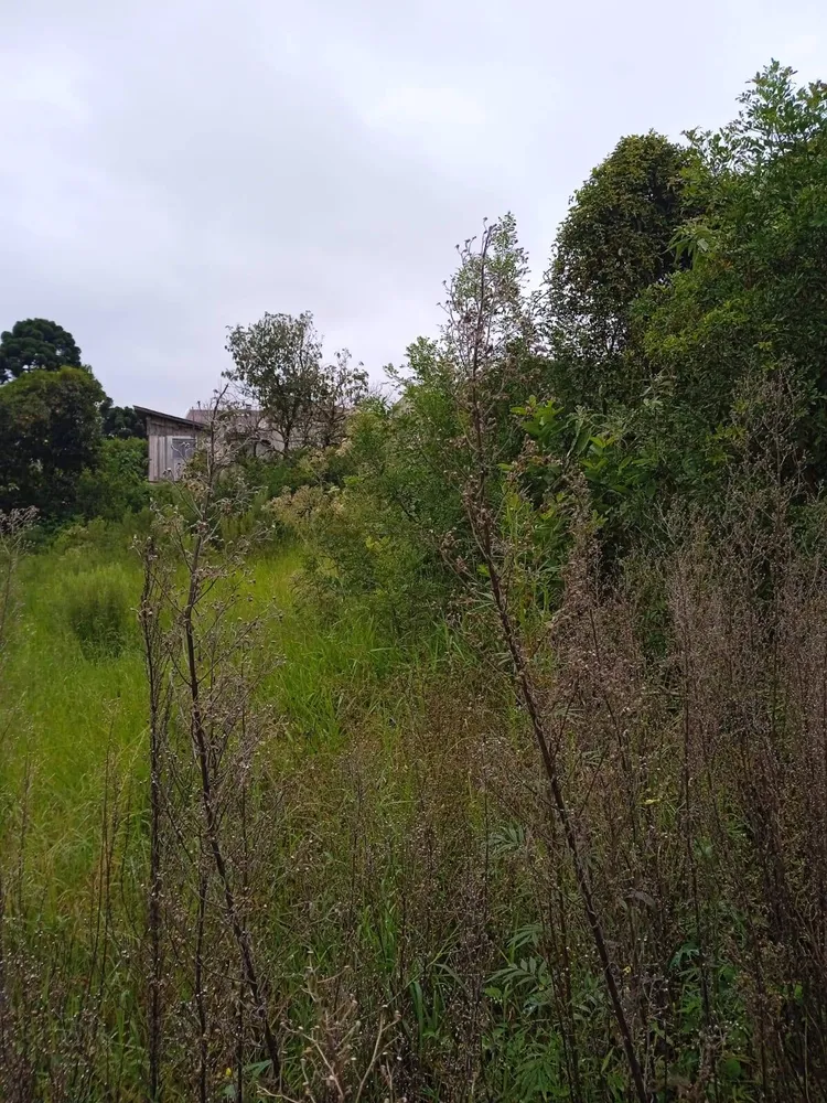 Terreno, 4379 m² - Foto 5