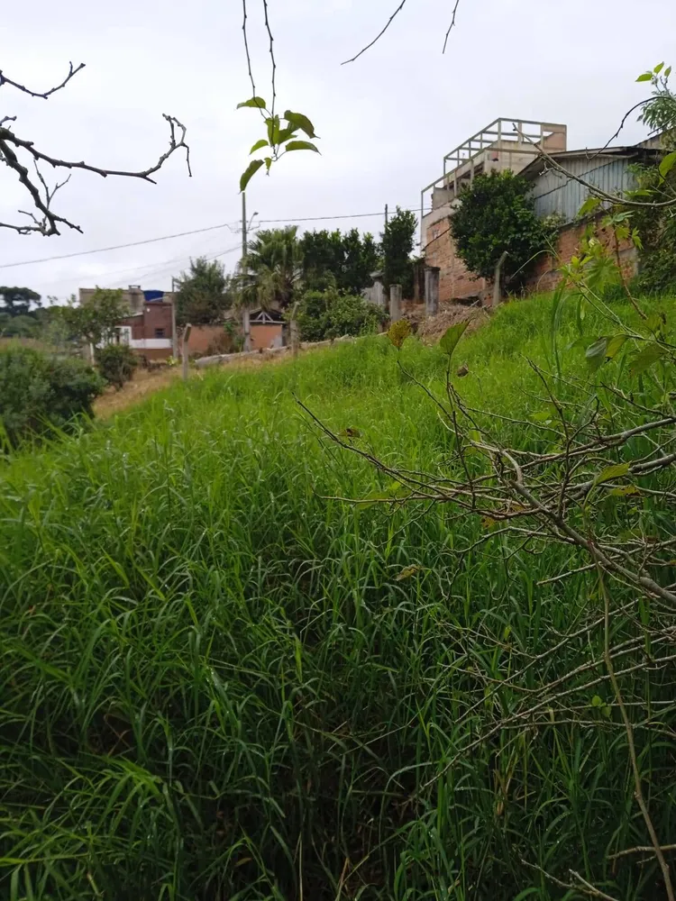 Terreno, 4379 m² - Foto 8