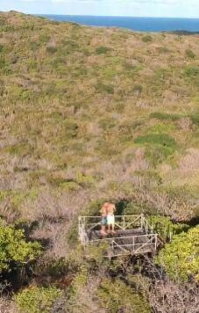 Terreno, 7 hectares - Foto 3
