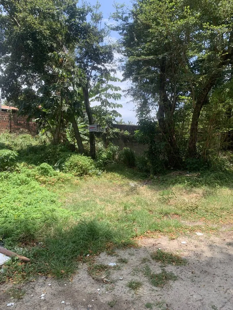 Terreno, 280 m² - Foto 4