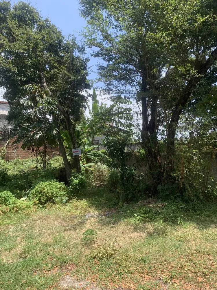 Terreno, 280 m² - Foto 5