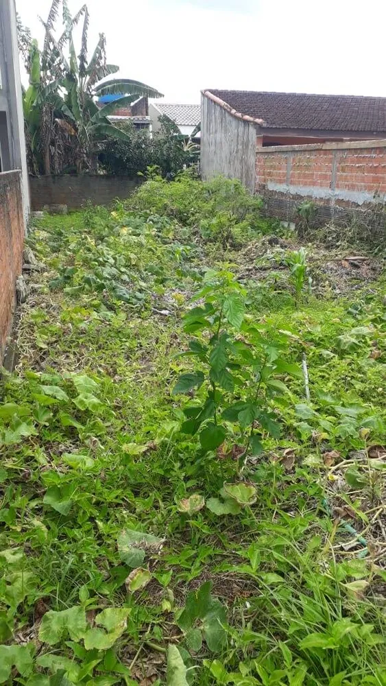 Terreno, 120 m² - Foto 12