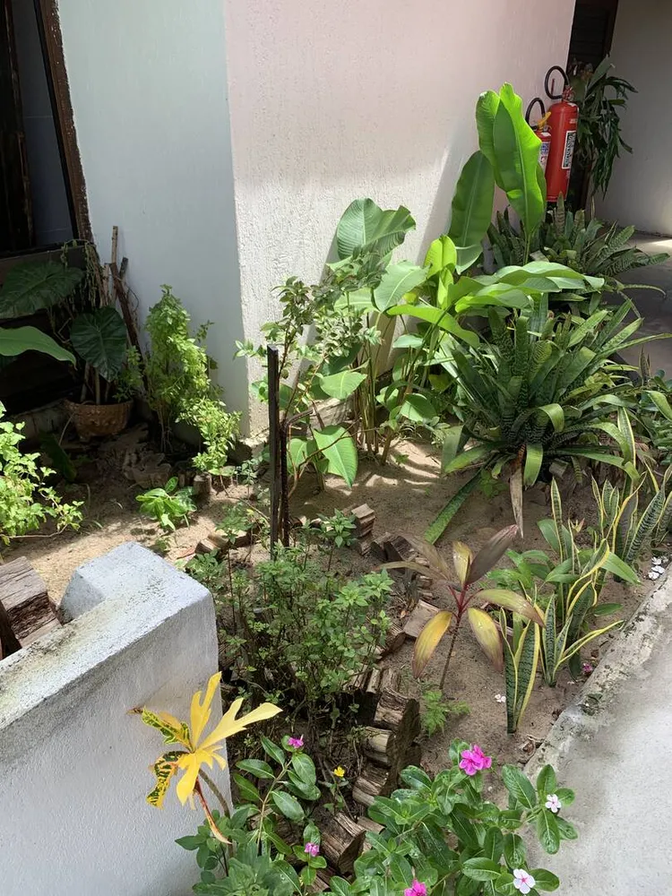 Casa, 5 quartos, 300 m² - Foto 4
