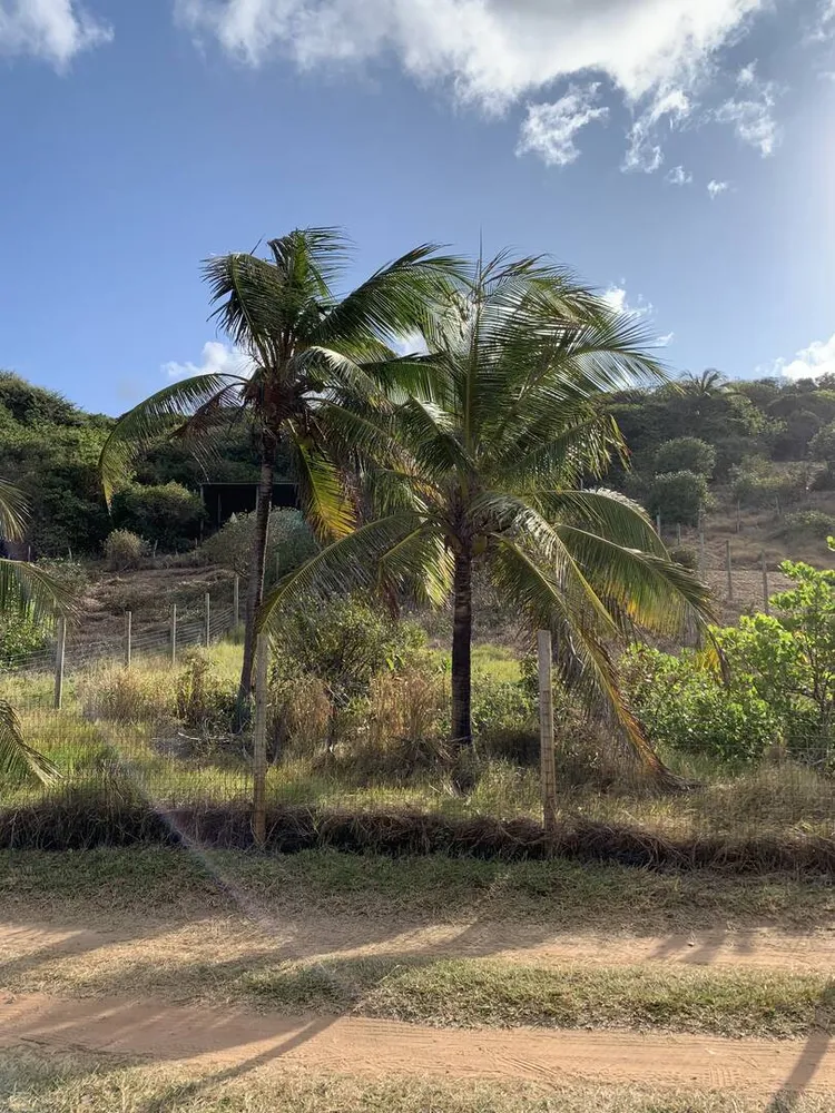 Terreno, 700 m² - Foto 8