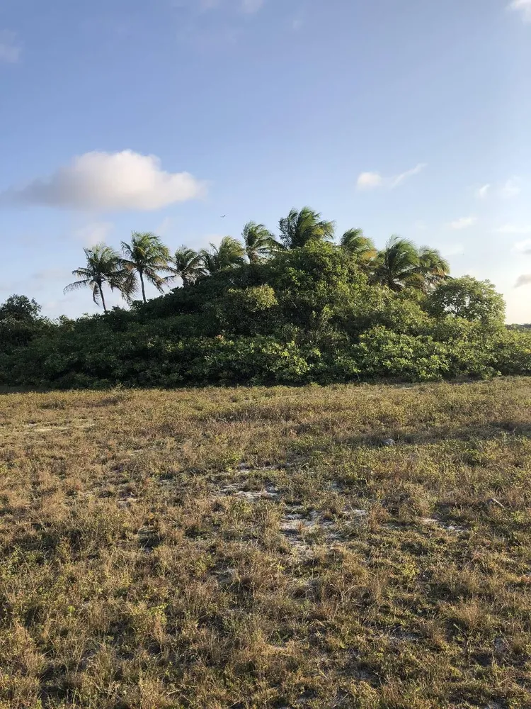 Terreno, 1 hectares - Foto 4