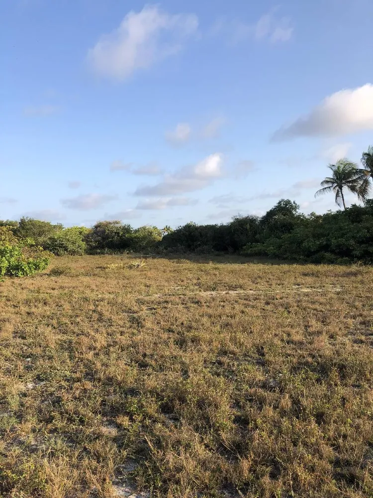 Terreno, 1 hectares - Foto 6