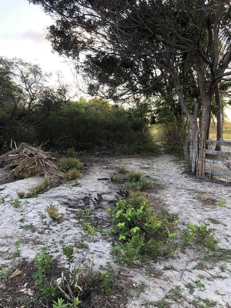 Terreno, 1 hectares - Foto 12