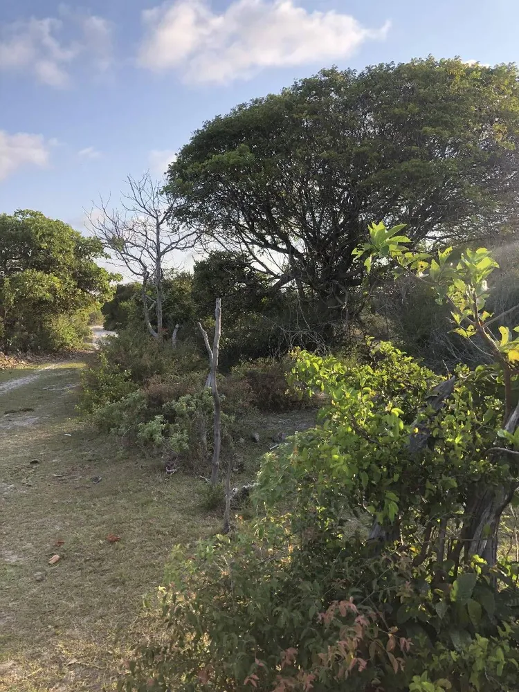 Terreno, 1 hectares - Foto 10