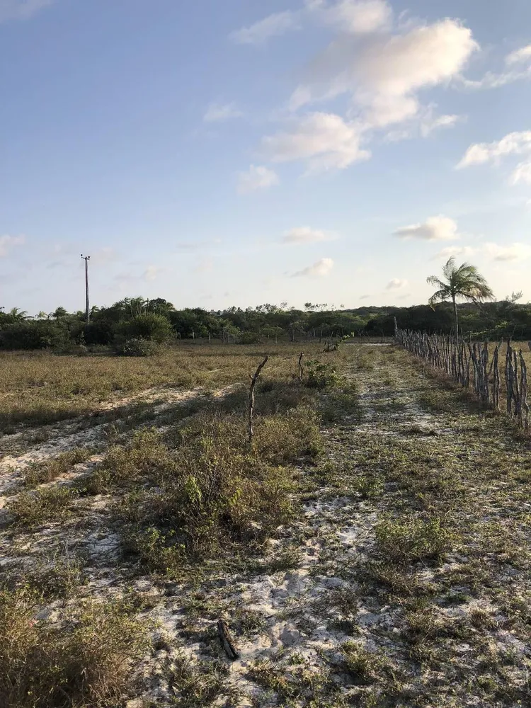 Terreno, 1 hectares - Foto 3