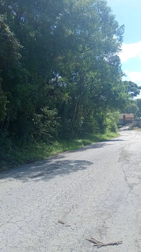 Terreno, 4 hectares - Foto 1