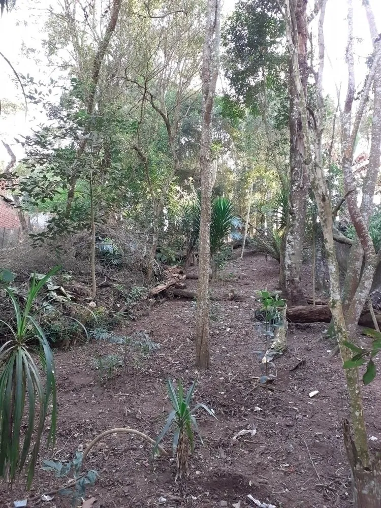 Terreno, 5048 m² - Foto 4