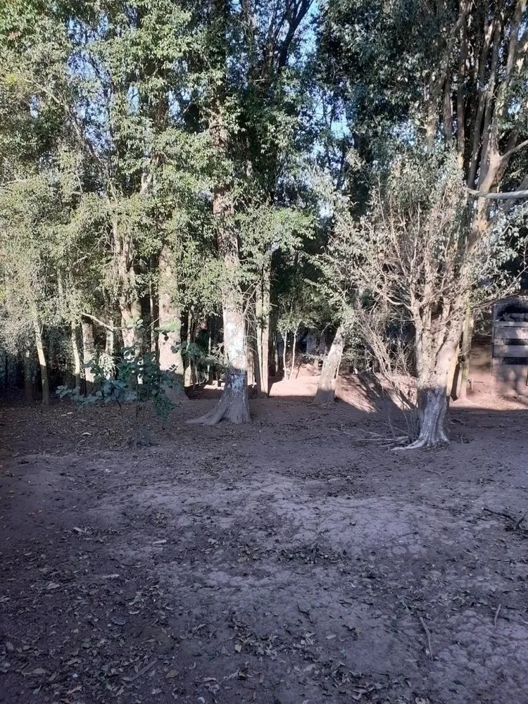 Terreno, 5048 m² - Foto 5