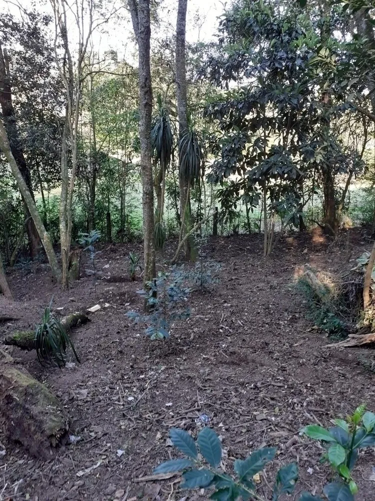 Terreno, 5048 m² - Foto 3