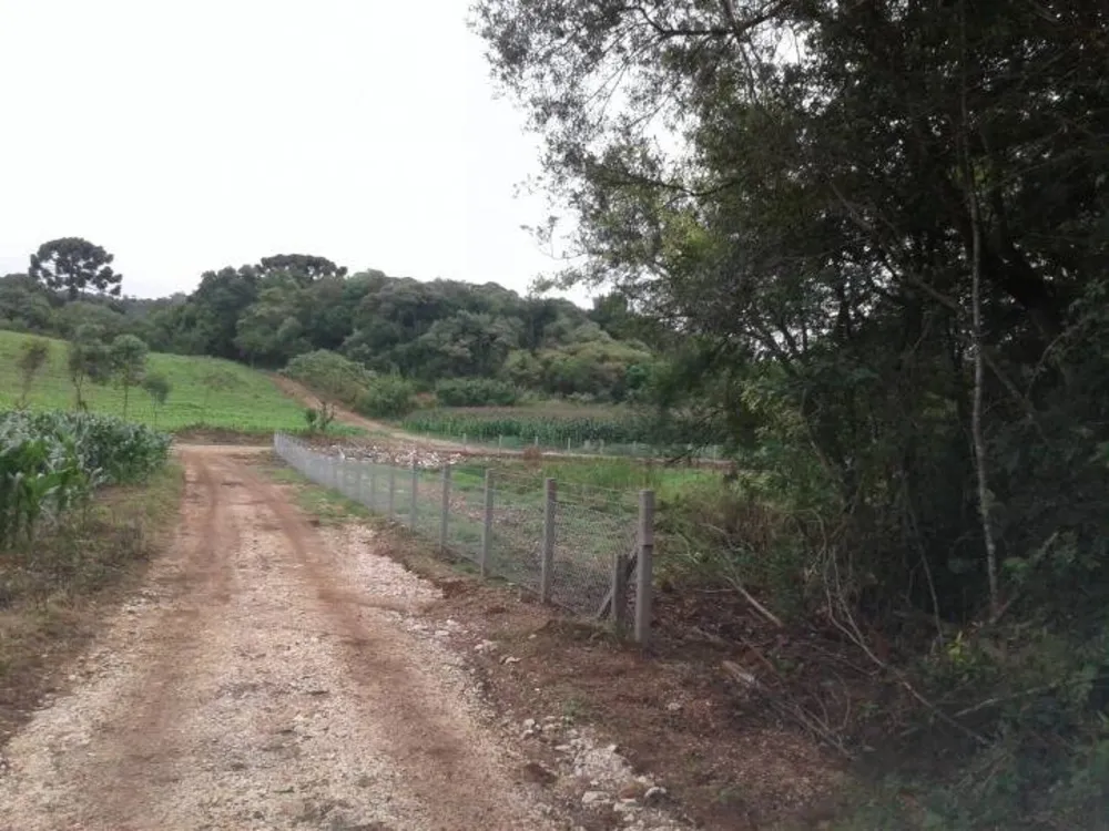 Terreno, 1 hectares - Foto 5