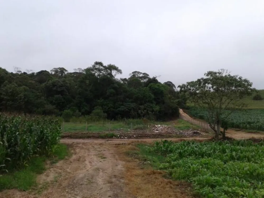 Terreno, 1 hectares - Foto 6