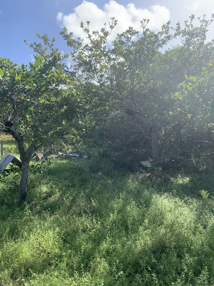 Terreno, 1000 m² - Foto 4