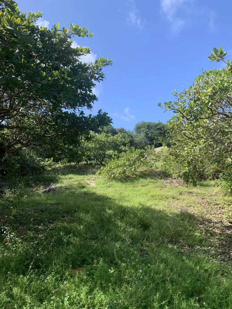 Terreno, 1000 m² - Foto 5