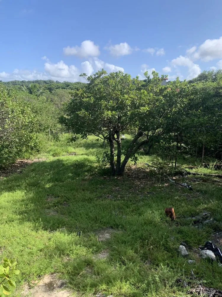 Terreno, 1000 m² - Foto 10