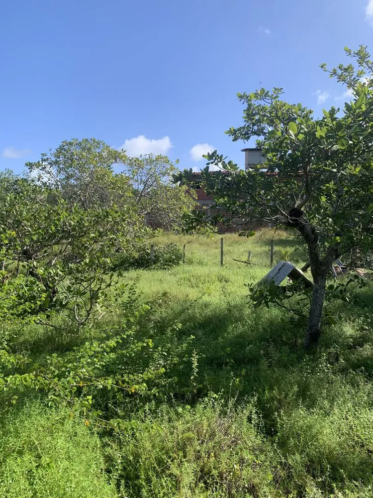 Terreno, 1000 m² - Foto 1